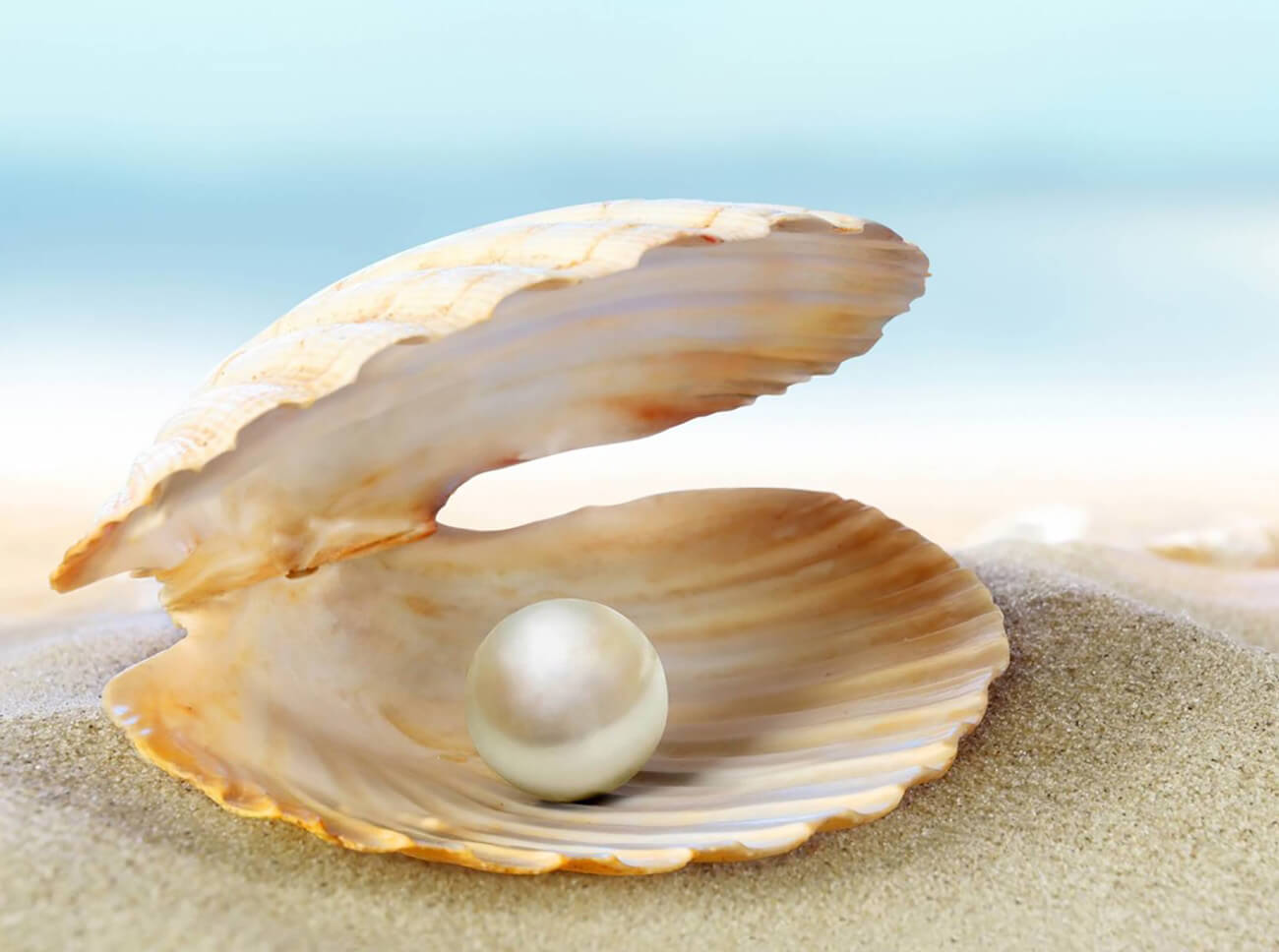 A Pearl is the Fruit of a Frustrated Oyster - Chipsy & Lulu